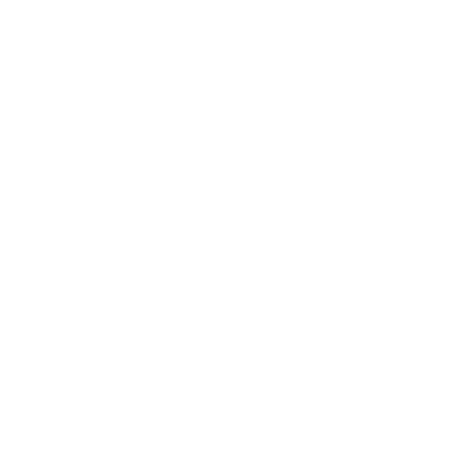 Coolicehost logo